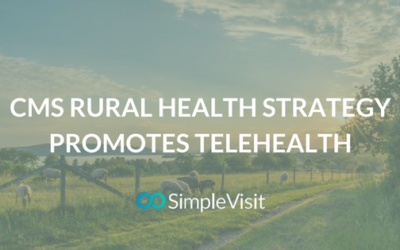 CMS Rural Health Strategy Promotes Telehealth