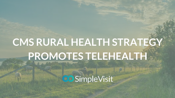 CMS Rural Health Strategy Promotes Telehealth